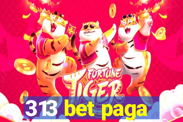 313 bet paga